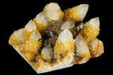 Sunshine Cactus Quartz Crystal Cluster - South Africa #122369-1